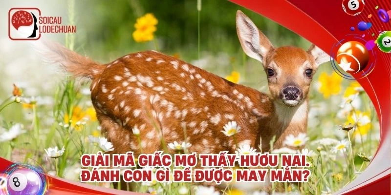 Giải mã giấc mơ thấy hươu nai. Đánh con gì để được may mắn?
