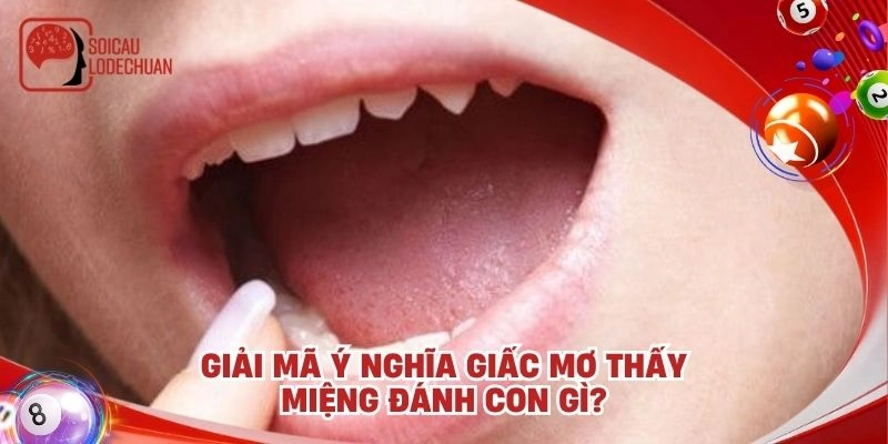Giải mã ý nghĩa giấc mơ thấy miệng đánh con gì?