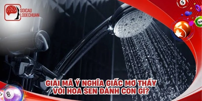 Giải mã ý nghĩa giấc mơ thấy vòi hoa sen đánh con gì?