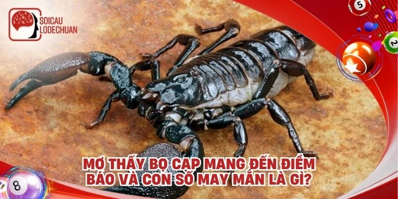 Mơ thấy Bọ cạp mang đến điềm báo và con số may mắn là gì?