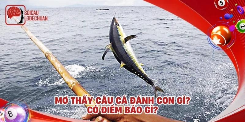 Mơ thấy câu cá đánh con gì? Có điềm báo gì?