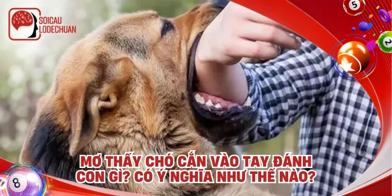 Mơ thấy chó cắn vào tay đánh con gì? Có ý nghĩa như thế nào?