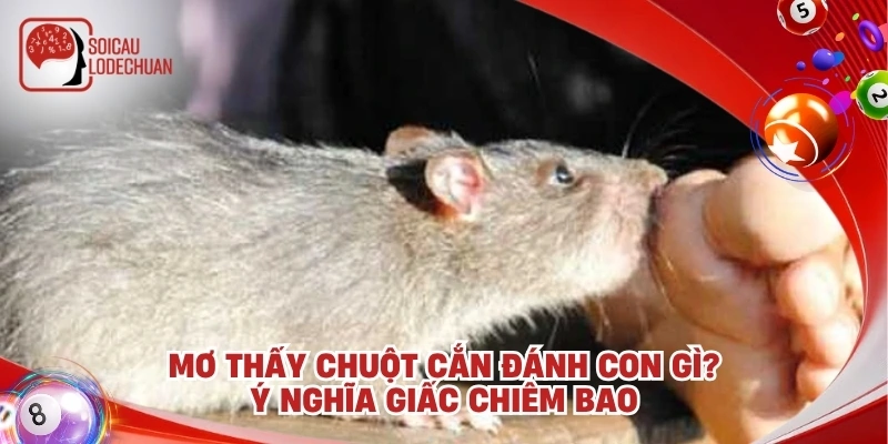 Mơ thấy chuột cắn đánh con gì? Ý nghĩa giấc chiêm bao