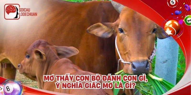 Mơ thấy con bò đánh con gì, ý nghĩa giấc mơ là gì?