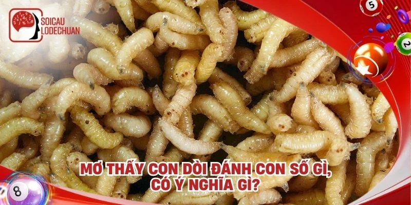 Mơ thấy con dòi đánh con số gì, có ý nghĩa gì?