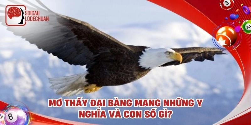 Mơ thấy đại bàng mang những y nghĩa và con số gì?