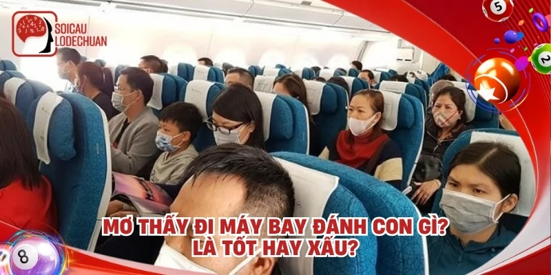 Mơ thấy đi máy bay đánh con gì? Là tốt hay xấu?