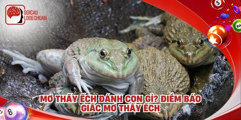 Mơ thấy ếch đánh con gì? Điềm báo giấc mơ thấy ếch