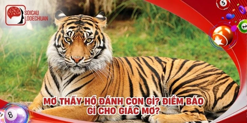Mơ thấy hổ đánh con gì? Điềm báo gì cho giấc mơ?