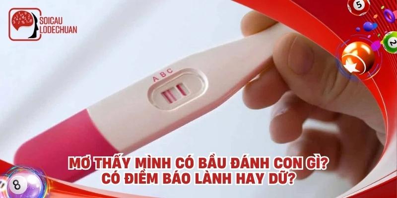 Mơ thấy mình có bầu đánh con gì? Có điềm báo lành hay dữ?