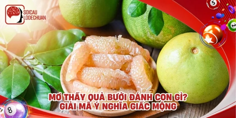 Mơ thấy quả bưởi đánh con gì? Giải mã ý nghĩa giấc mộng