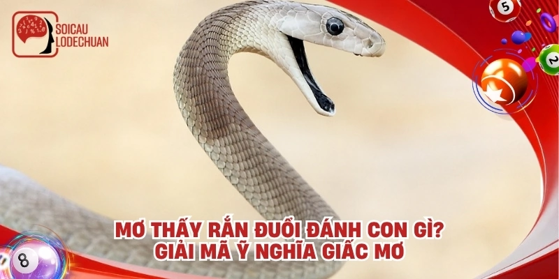 Mơ thấy rắn đuổi đánh con gì? Giải mã ỹ nghĩa giấc mơ