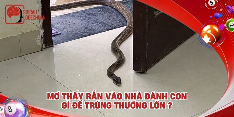 Mơ thấy rắn vào nhà đánh con gì để trúng thưởng lớn ?