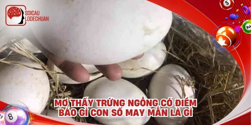 Mơ thấy trứng ngỗng có điềm báo gì Con số may mắn là gì