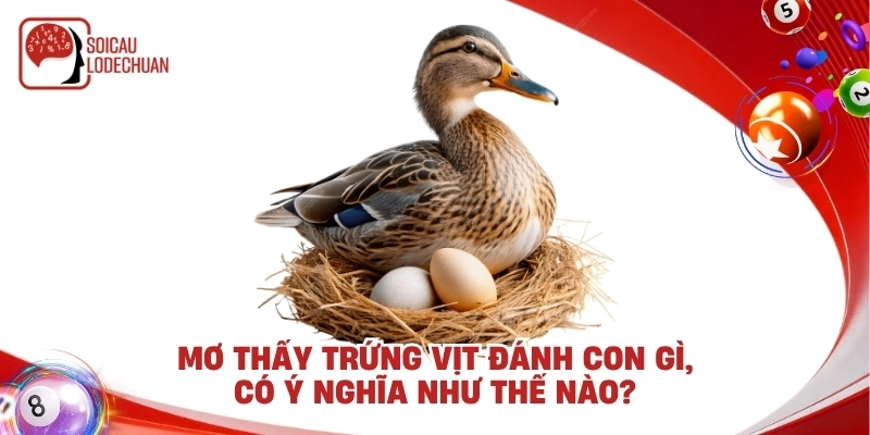 Mơ thấy trứng vịt đánh con gì, có ý nghĩa như thế nào?