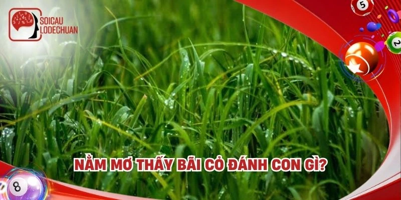 Nằm mơ thấy bãi cỏ đánh con gì?