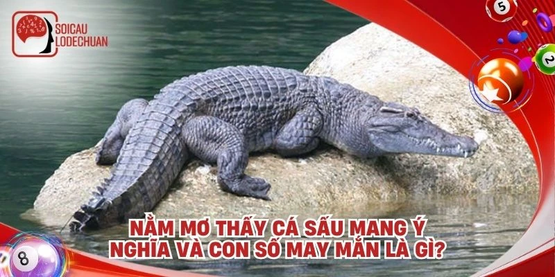 Nằm mơ thấy cá sấu mang ý nghĩa và con số may mắn là gì?