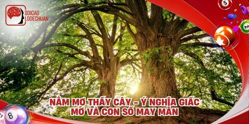 Nằm mơ thấy cây - Ý nghĩa giấc mơ và con số may mắn