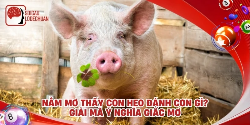Nằm mơ thấy con heo đánh con gì? Giải mã ý nghĩa giấc mơ