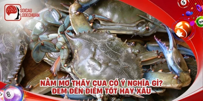 Nằm mơ thấy cua có ý nghĩa gì? Đem đến điềm tốt hay xấu