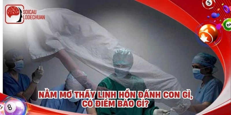 Nằm mơ thấy linh hồn đánh con gì, có điềm báo gì?