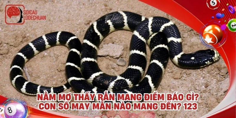 Nằm mơ thấy rắn mang điềm báo gì? Con số may mắn nào mang đến? 123
