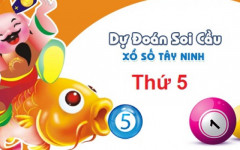 Dự đoán XSTN 3/9 - Soi cầu xổ số XSTN 3/9/2026 hôm nay miễn phí